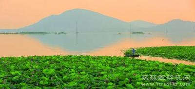 “禁砂”三年，黄河下游最大湖泊东平湖生态效应显现